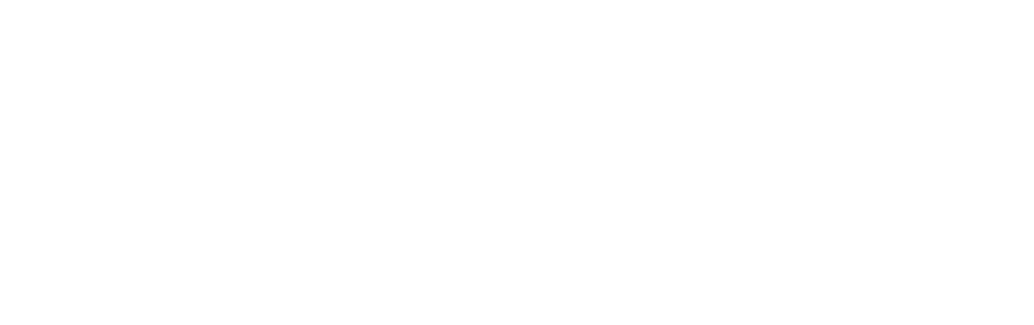 IPnite logo